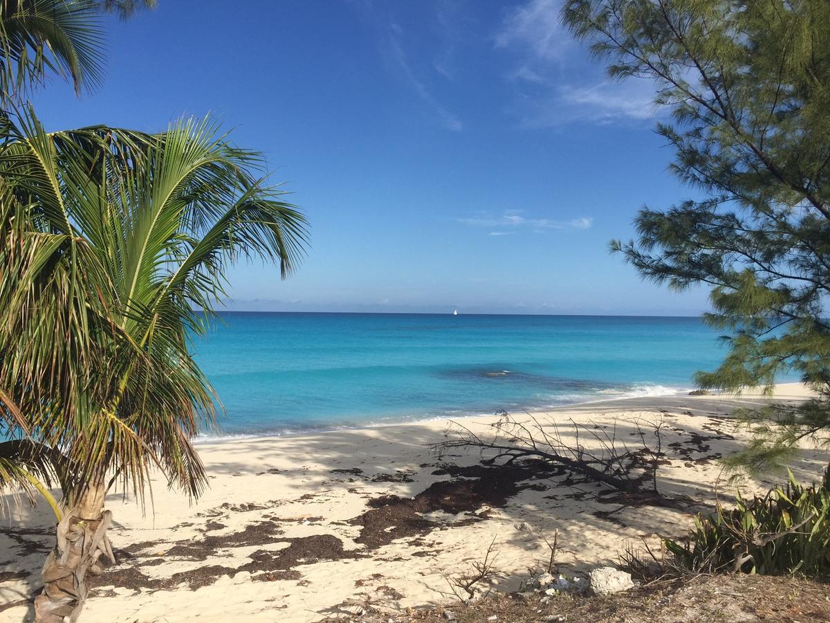 Bimini Seaside Villas - Pink Cottage With Beach View Alice Town  Eksteriør billede